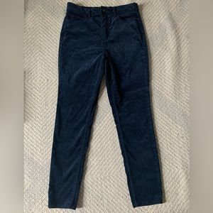 Gorgeous LOFT velvet skinny pants